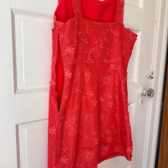 Romeo & Juliet Couture Floral Lace Mini Sheath Dress Cotton Vibrant Coral Large - Picture 10 of 15